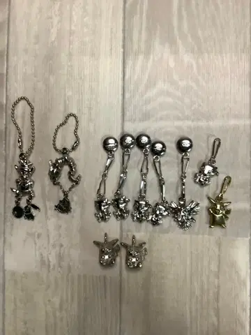 포켓몬 메탈 참 포켓몬 플레이트 홀더