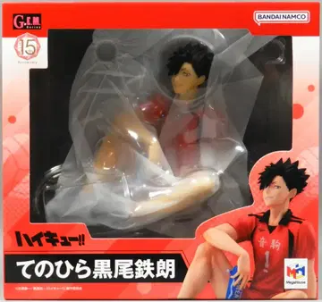 메가하우스 G.E.M. 시리즈 테노히라 쿠로오 테츠로