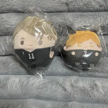 하이큐!! 복권 메이트 누이 복권