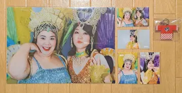 홍생강 축제 복권