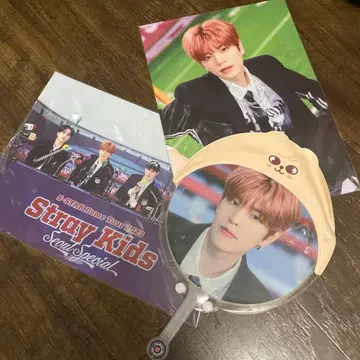 5star 서울콘 승민 부채 puppym 부채 커버