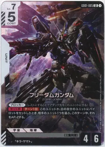 BANDAI Newtype Rising GD01-065 프리덤 건담 LR