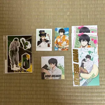 WIND BREAKER 토카게 죠