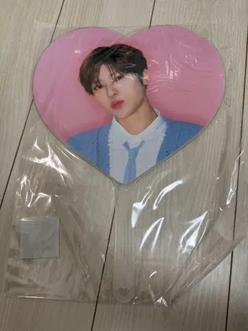 NCT WISH steady MD 부채 시온