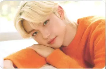 StrayKids WAVE9 FELIX NACIFIC 콜라보 브라운