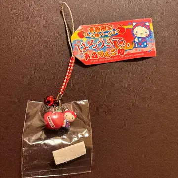 산리오 고토치 키티 아오모리 사과 아가씨 스트랩 헤이세이 레트로
