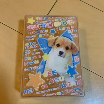 [ 헤이세이 레트로 ] [ 당시품 ] 강아지 수납 용기