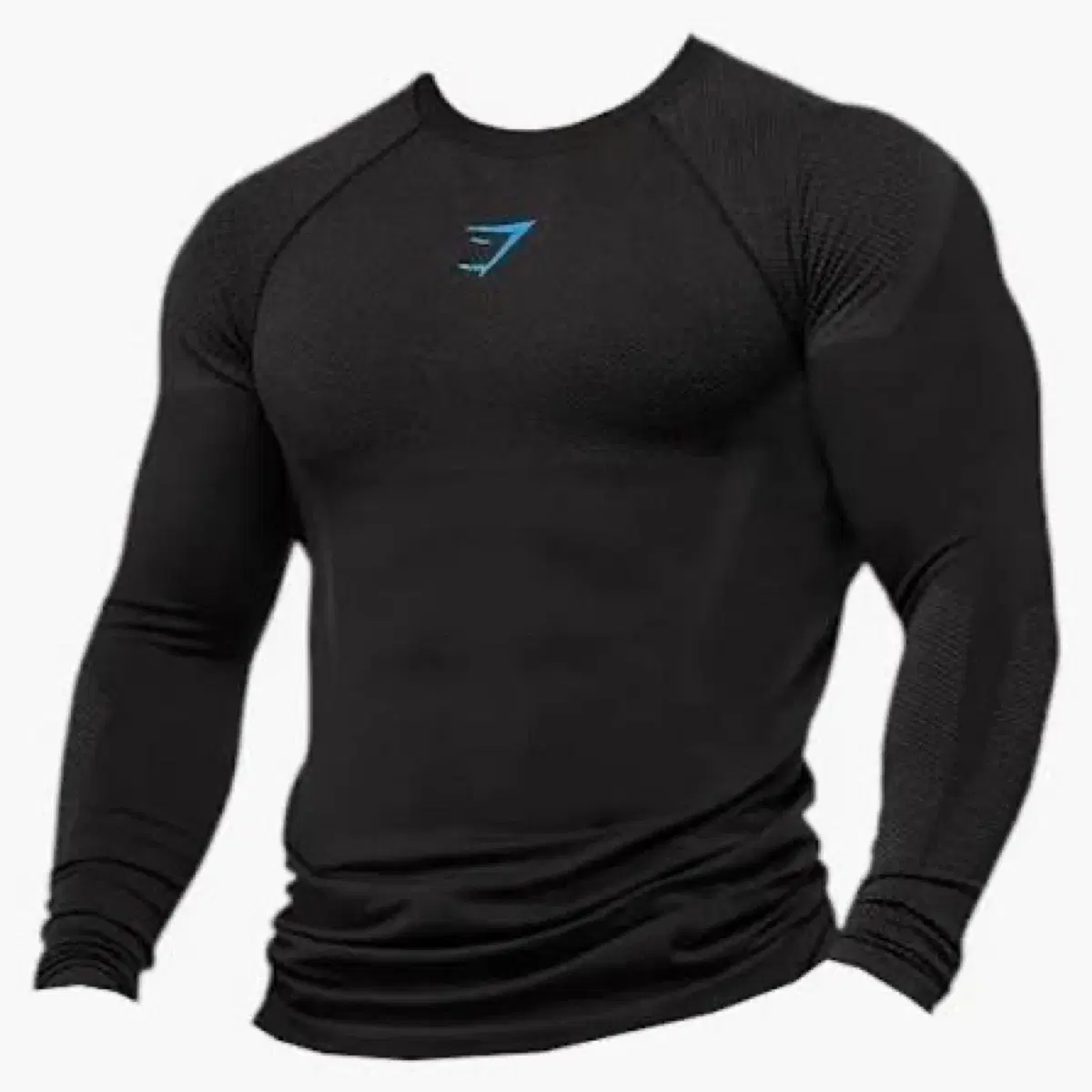 Gymshark Shadow Seamless Long Sleeve on Bunjang Global Site