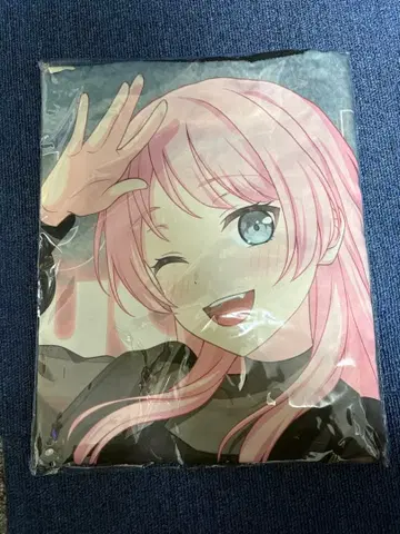 뱅드림 MyGO!!!!! 치하야 아논 하피 10주년 기념