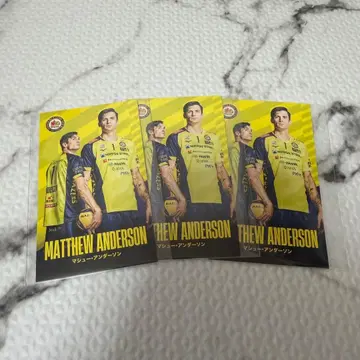 사카이 블레이저스 앤더슨 트레이딩 카드 포토 카드