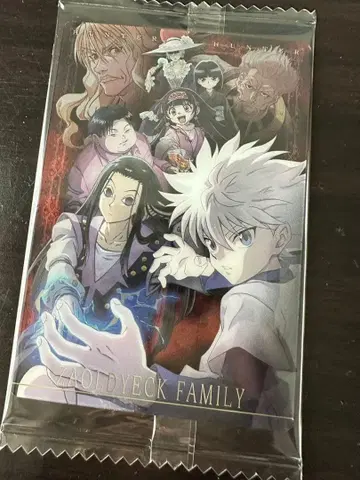 HUNTER x HUNTER 이타쟈가 조르딕가 키루아 이르미