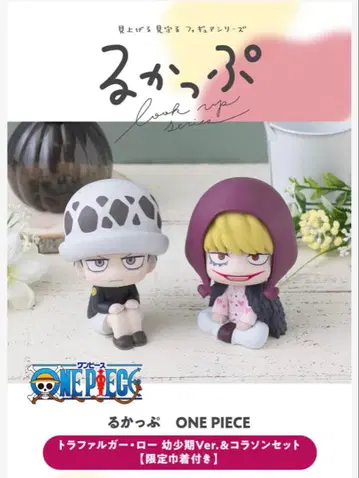 룩업 코라손 로우 2체 세트