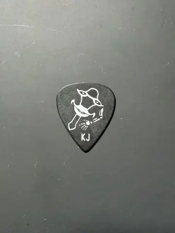 Dragon Ash KJ 피크