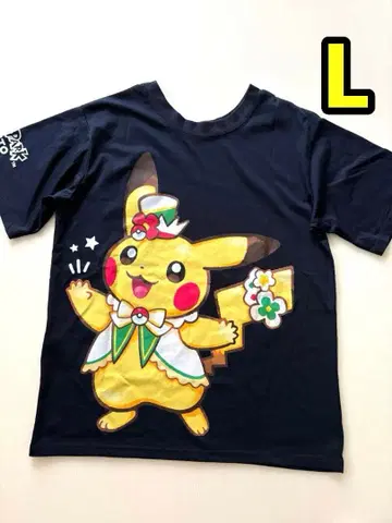 포켓파크 관동 한정판 피카츄 이브이 T셔츠 L