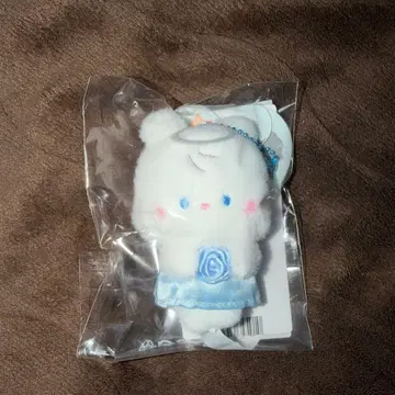 한빈 비니니 제로니 엔젤 천사