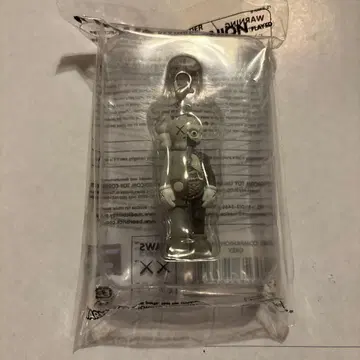 KAWS COMPANION 키링