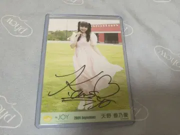 아마노 코노아 친필