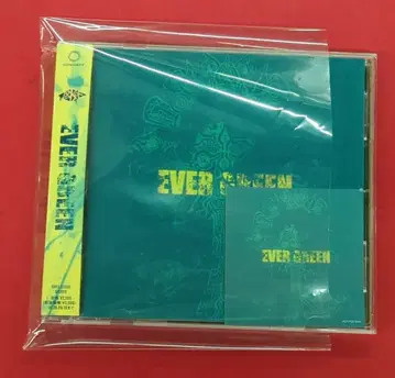 인터넷/방송인 CD TOOBOE EVER GREEN 일반ver