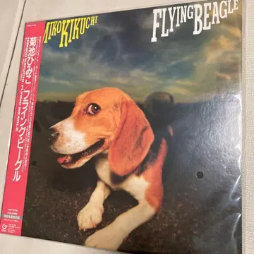 키쿠치 히미코 FLYING BEAGLE LP 레코드 재즈 시티 팝