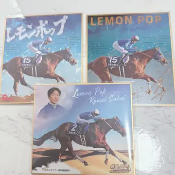 사카이 류세이 기수 미니 색지