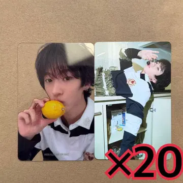 앤톤 클리어 트레이딩 카드 2종 x 20 도쿄돔 RIIZING LOUD