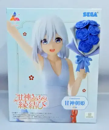 세가 Luminasta 아마가미 씨네 인연 맺기 아마가미 아사히