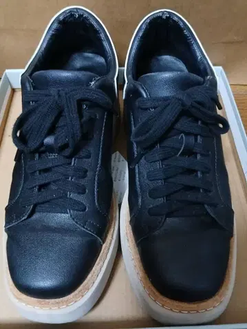 Lucida 통굽 웨지 스니커즈