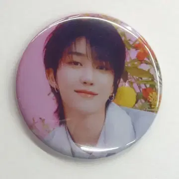 SEVENTEEN ALWAYS YOURS THE8 캔뱃지