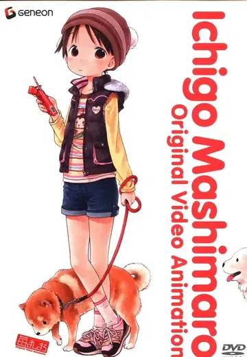 애니메이션 DVD 초회 한정판 딸기 마시마로 OVA 전 3권 세트