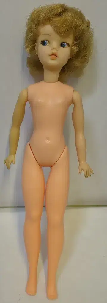 아이디얼사 타미짱 일본제 타미짱