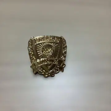 아무로 토오루 후루야 레이 할로윈의 신부 핀 배지