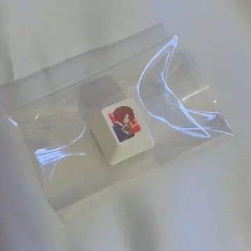 CrazyRaccoon 우루카 키캡