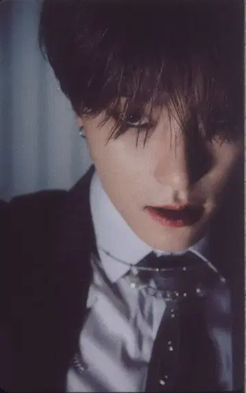 SEVENTEEN Weverse DINO Attacca