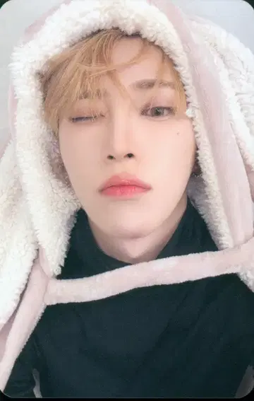 ALPHADRIVEONE MAKE STAR ARNO EUPHORIA