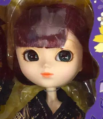 준 플래닝 풀립 Lan-란