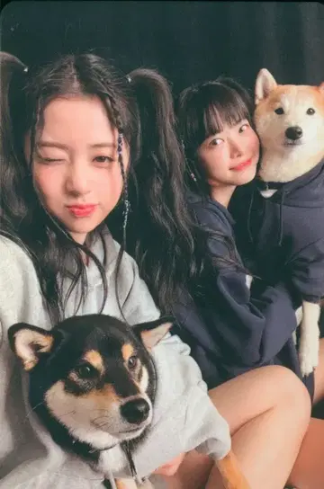 르세라핌 위버스 앨범스 ver. 윤진/은채 UNFORGIVEN 화이트