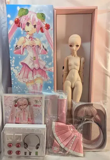 보크스 DD 돌피드림 보컬로이드 벚꽃 미쿠 2.0