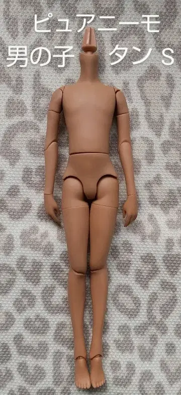 레어*배송비 포함*퓨어니모 프렉션 S/남아 바디/탄/갈색