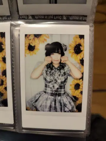 후르츠 펀치. 솔트 폴라로이드