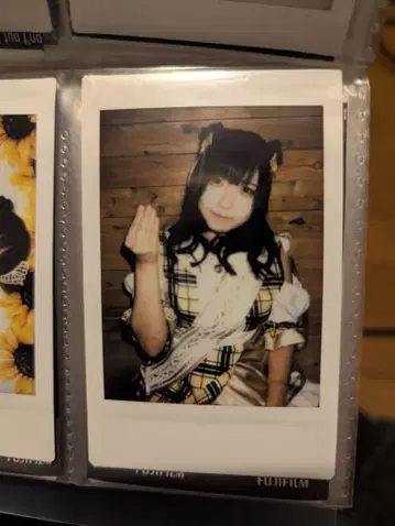 후르츠 펀치. 솔트 폴라로이드