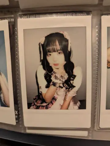 후르츠 펀치. 유메카 폴라로이드