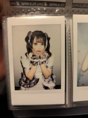 후르츠 펀치 시폰 폴라로이드