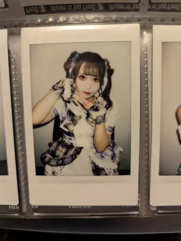 후르츠 펀치. 시폰 폴라로이드