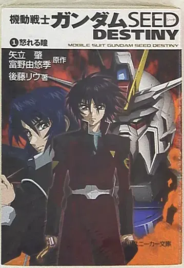 기동전사 건담 SEEDD ESTINY/분노하는 눈동자 1