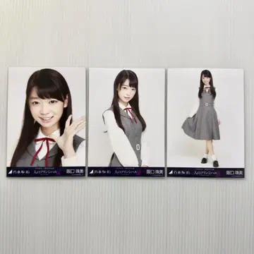 사카구치 타마미 3인의 푸딩 컴프 46 브로마이드