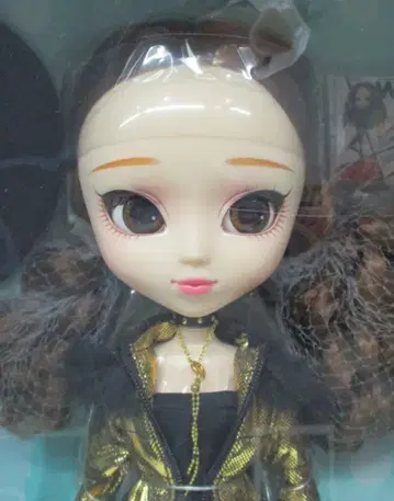 그루브 풀립 시아나