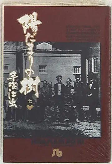 소학관 소학관 문고 데즈카 오사무 히마리노키 문고판 7