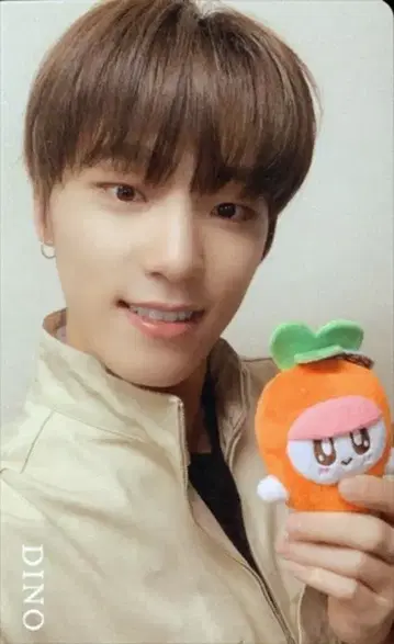 SEVENTEEN HMV DINO An Ode 크리스마스