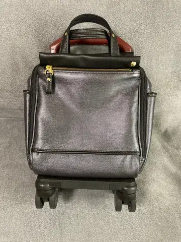 에이스 소에르테 칼리 백