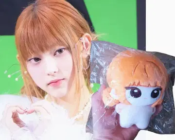 덤 카드 포함 해린 NewJeans NJZ 마스터 봉제 인형 본체